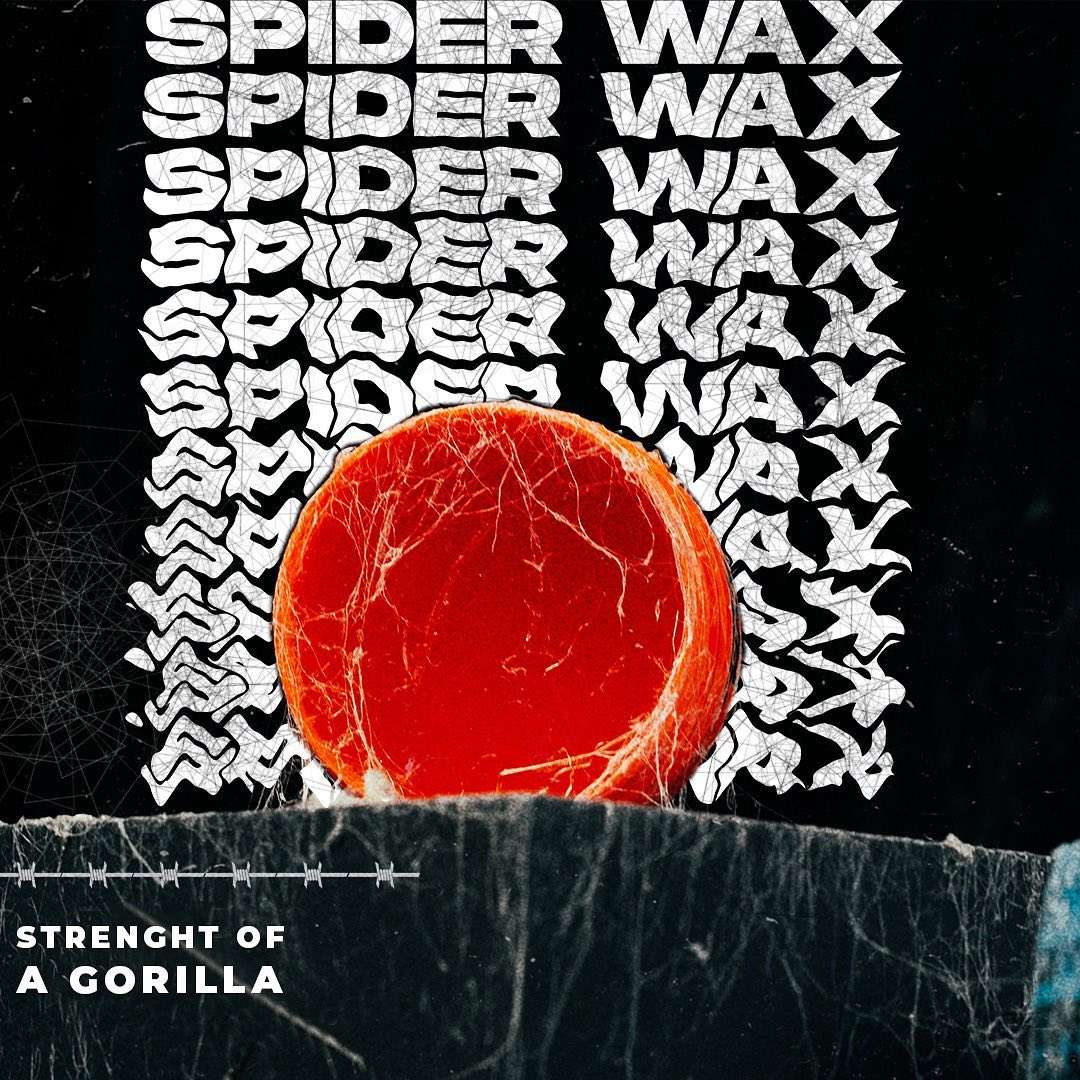 SPIDER WAX S1 BLACK WIDOW - 150 ML - Image 5